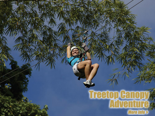 Tree Top Adventure in Dennery St Lucia